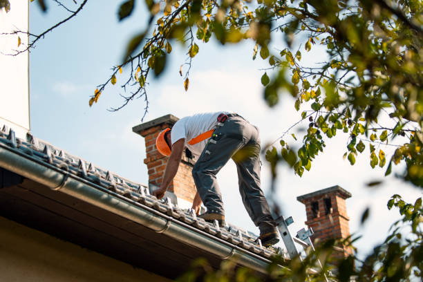 Roof Coating Services in Pebble Creek, FL