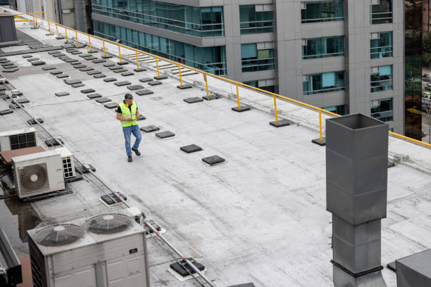 Best Sheet Metal Roofing  in Pebble Creek, FL