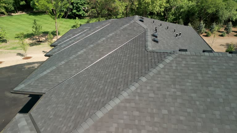 Skylights in Pebble Creek, FL