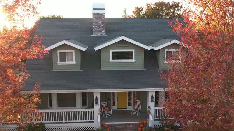 Steel Roofing in Pebble Creek, FL